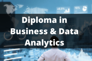 Business & Data Analytics